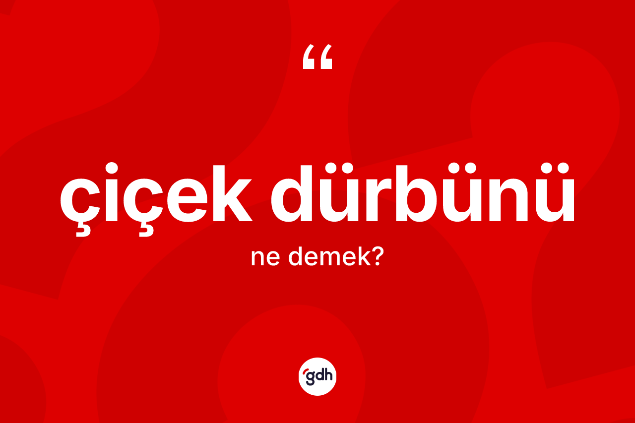 Çiçek dürbünü kelimesinin tanımı nedir? Çiçek dürbününün TDK'ya göre anlamı nedir?