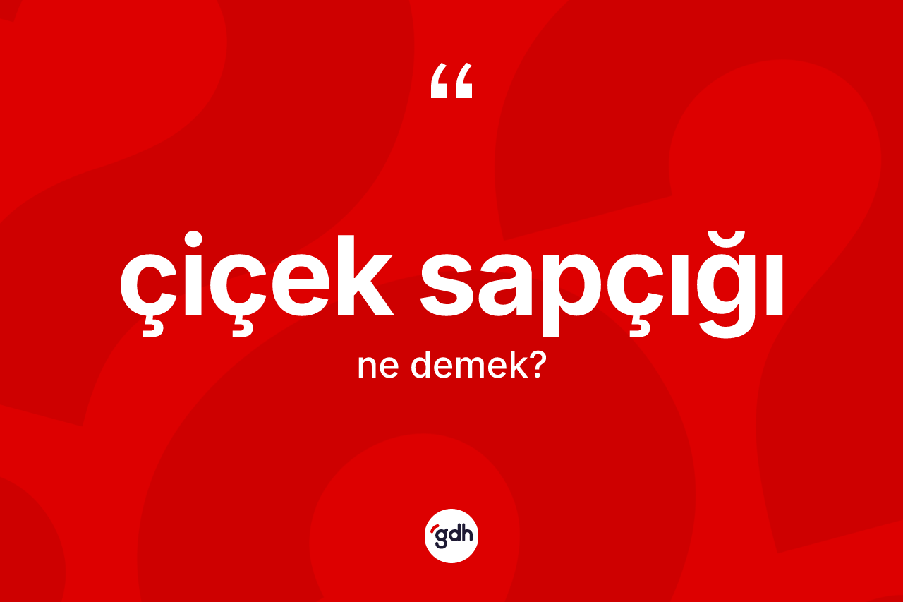 Çiçek sapçığı kelimesinin sözlükteki tanımı nedir? Çiçek sapçığı kelimesinin TDK'ya göre açıklaması nedir?