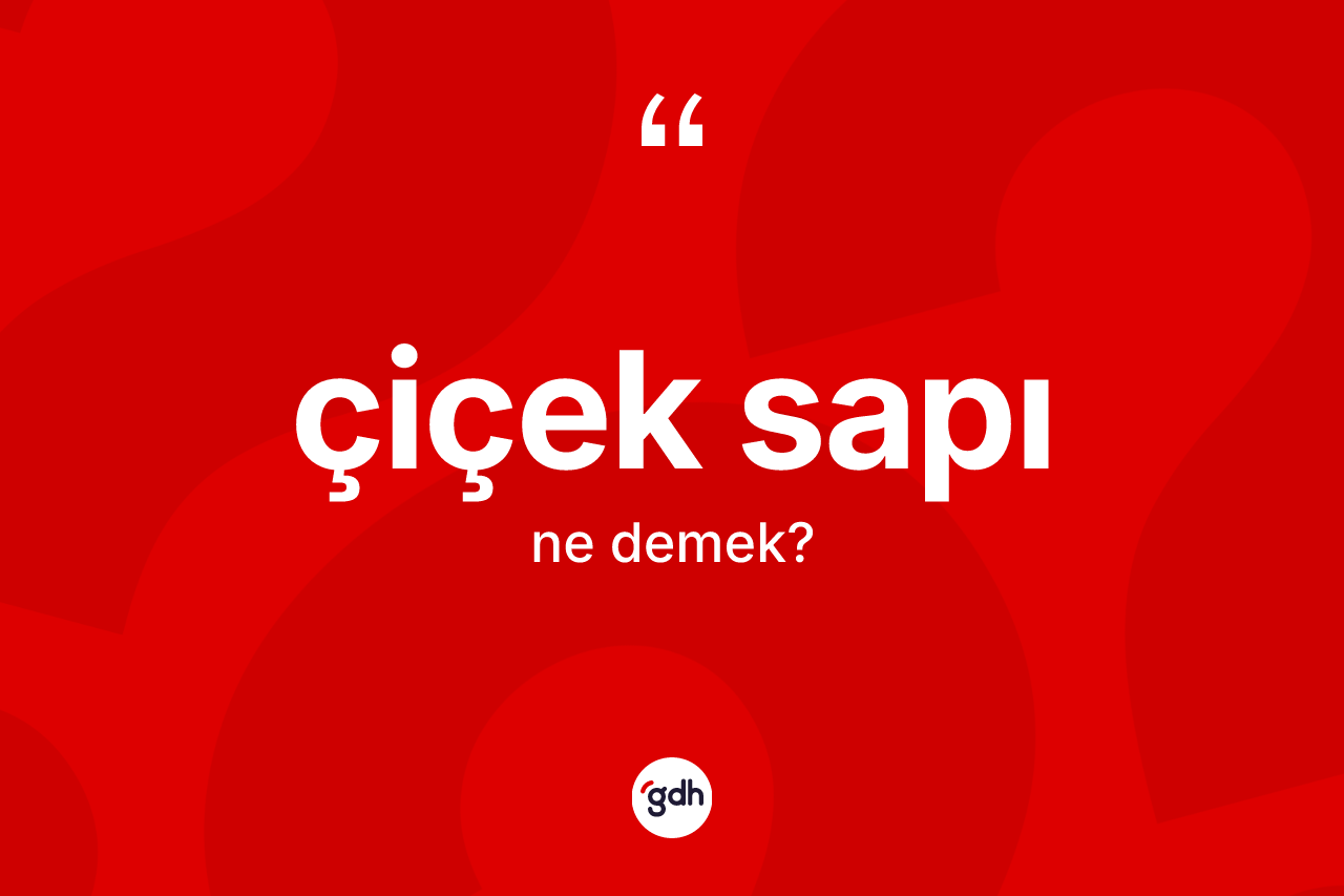 Çiçek sapı kelimesi ne demek? Çiçek sapı kelimesinin TDK anlamı nedir?