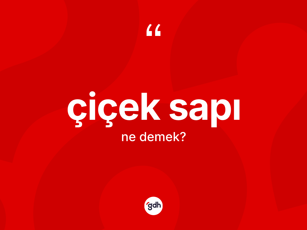 Çiçek sapı kelimesi ne demek? Çiçek sapı kelimesinin TDK anlamı nedir?
