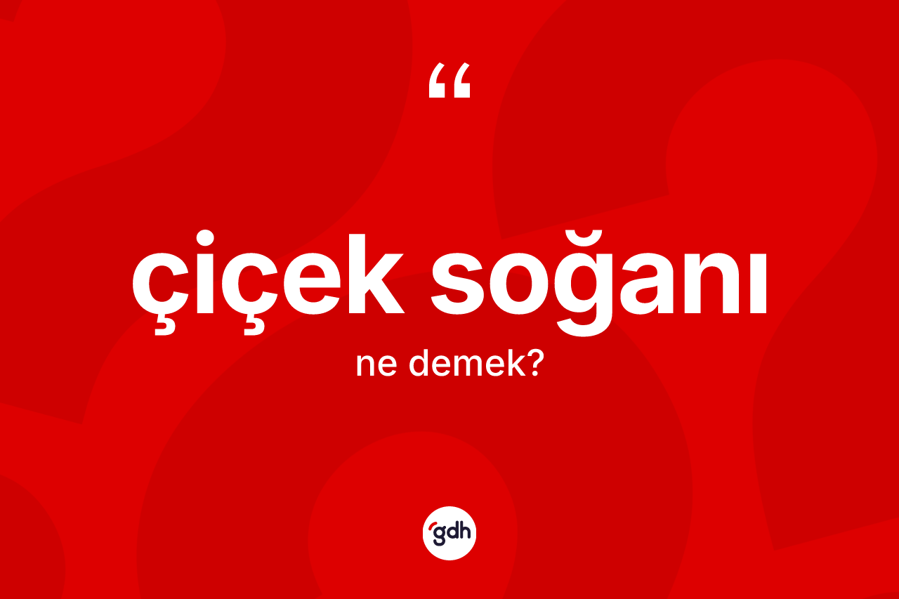 Çiçek soğanı ne demek? Çiçek soğanı kelimesinin kaç farklı anlamı var?