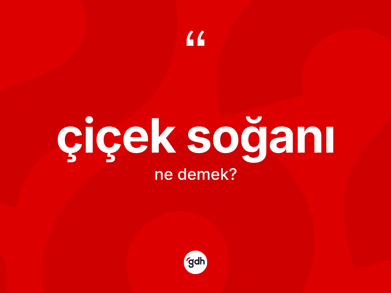 Çiçek soğanı ne demek? Çiçek soğanı kelimesinin kaç farklı anlamı var?