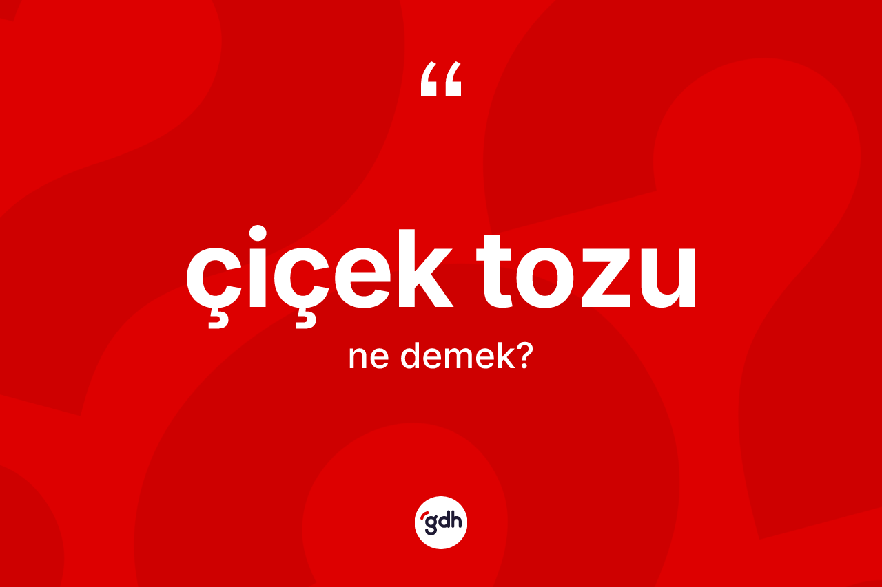 Çiçek tozu nedir?