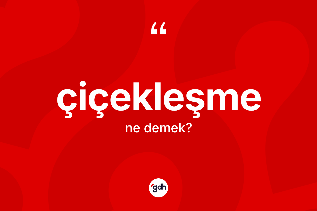 Çiçekleşme kelimesi ne demek? Çiçekleşmenin TDK'ya göre anlamı nedir?