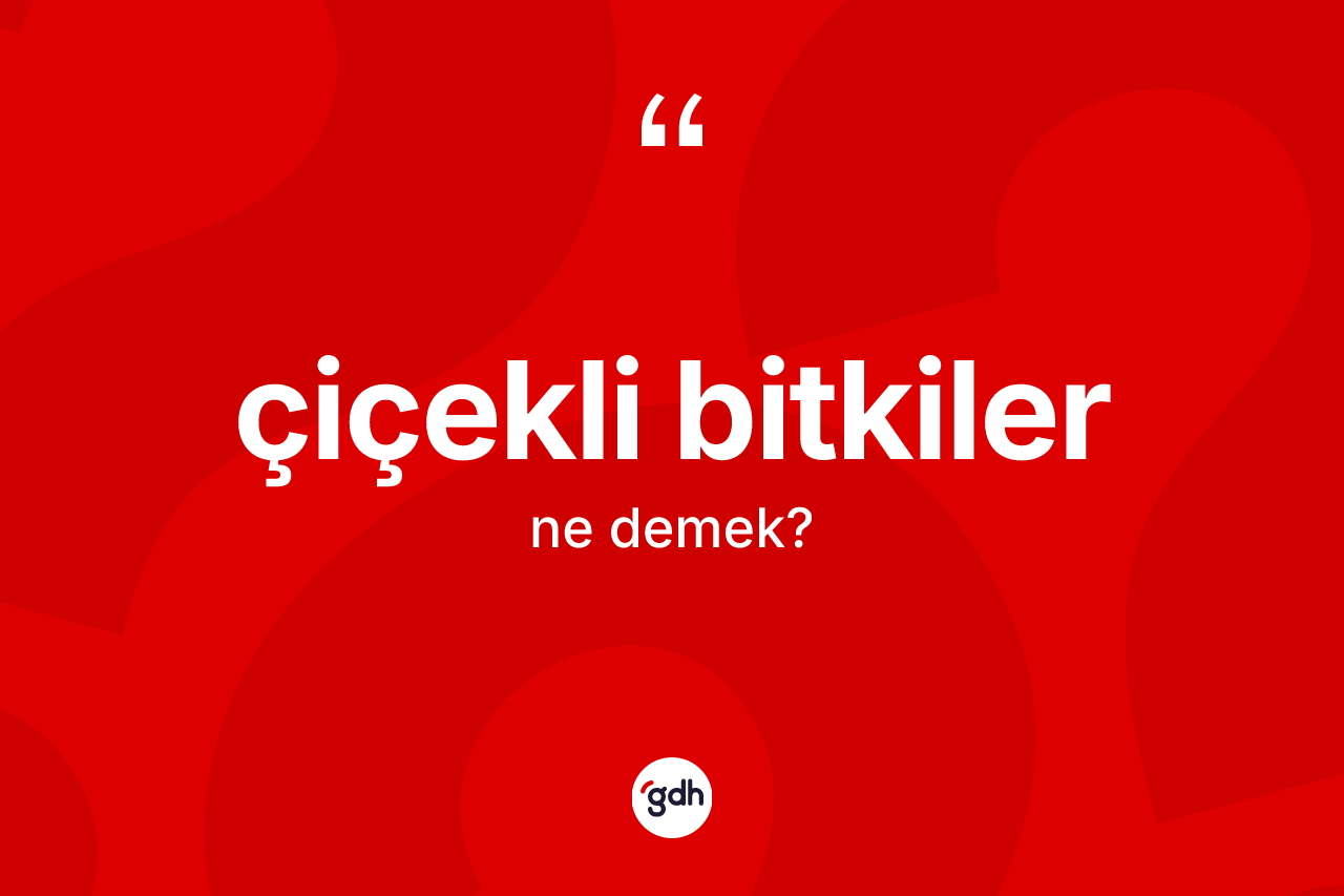 Çiçekli bitkiler kelimesinin tanımı nedir? Çiçekli bitkiler kelimesinin TDK'ya göre açıklaması nedir?