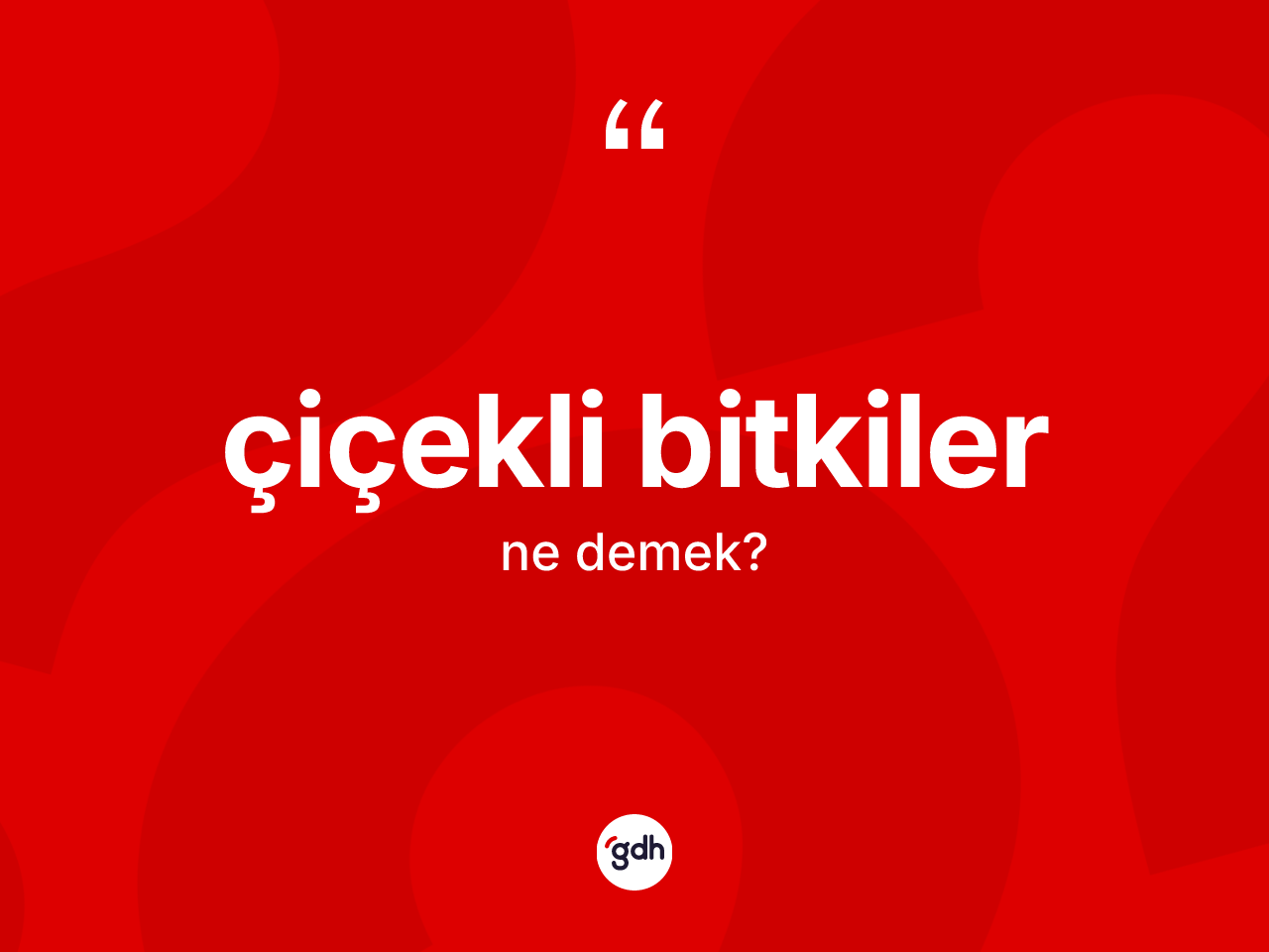 Çiçekli bitkiler kelimesinin tanımı nedir? Çiçekli bitkiler kelimesinin TDK'ya göre açıklaması nedir?