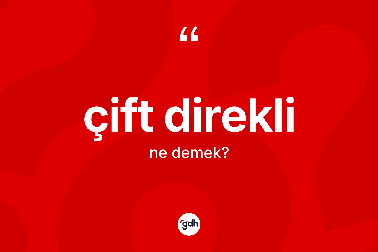 Çift direkli kelimesi ne demek? Çift direklinin TDK'ya göre anlamı nedir?