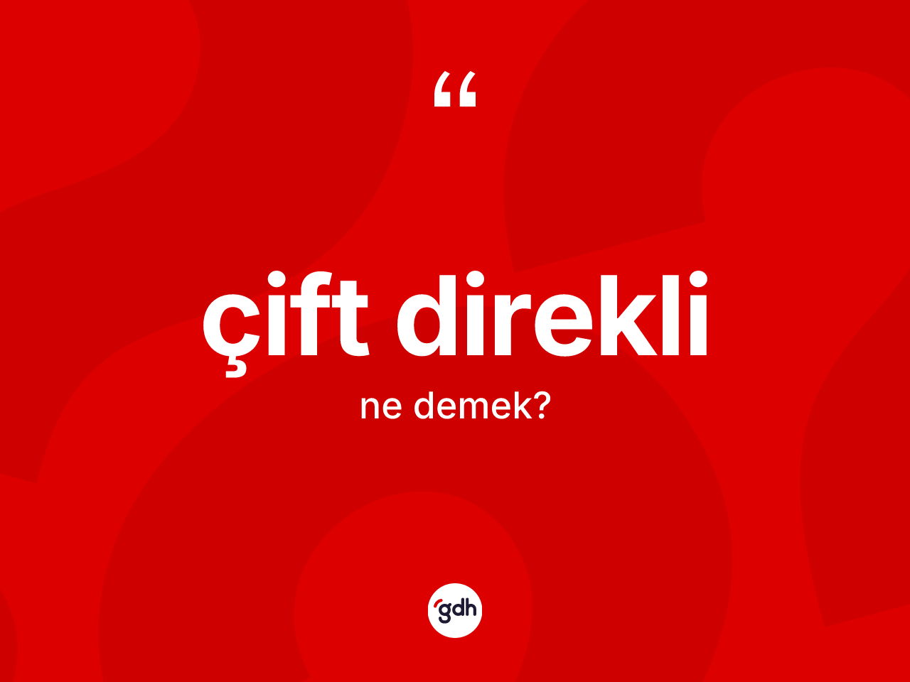 Çift direkli kelimesi ne demek? Çift direklinin TDK'ya göre anlamı nedir?