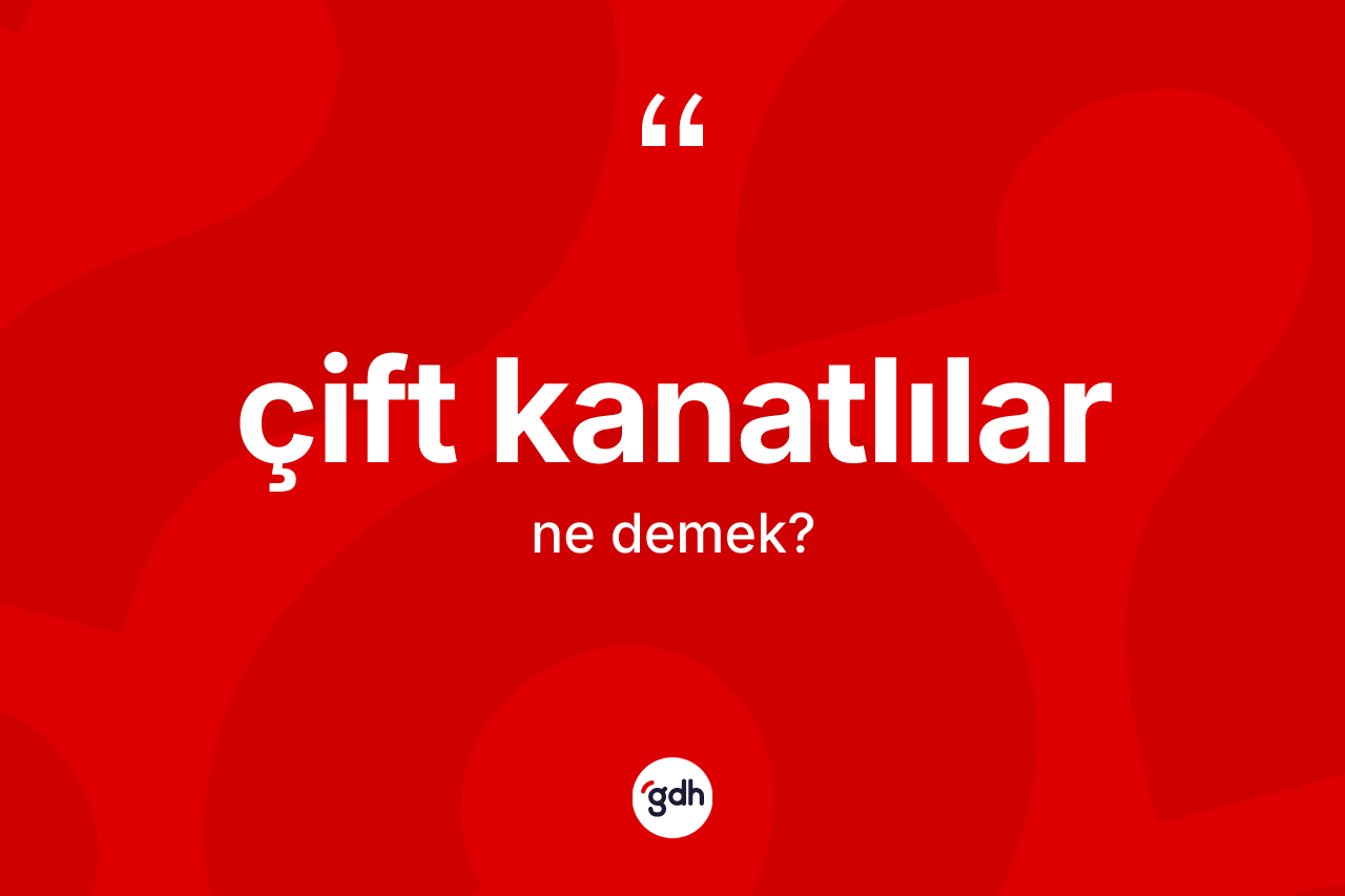 Çift kanatlılar kelimesi ne anlama gelir? Çift kanatlıların TDK'ya göre anlamı nedir?