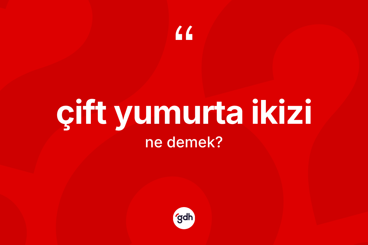 Çift yumurta ikizi kelimesinin sözlükteki tanımı nedir? Çift yumurta ikizi kelimesinin kaç farklı anlamı var?