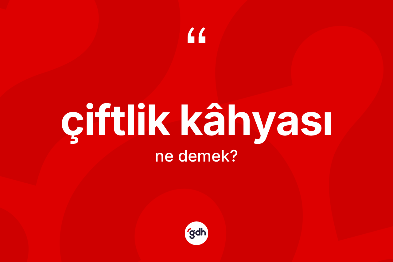 Çiftlik kâhyası kelimesi ne demek? Çiftlik kâhyasının TDK'ya göre anlamı nedir?