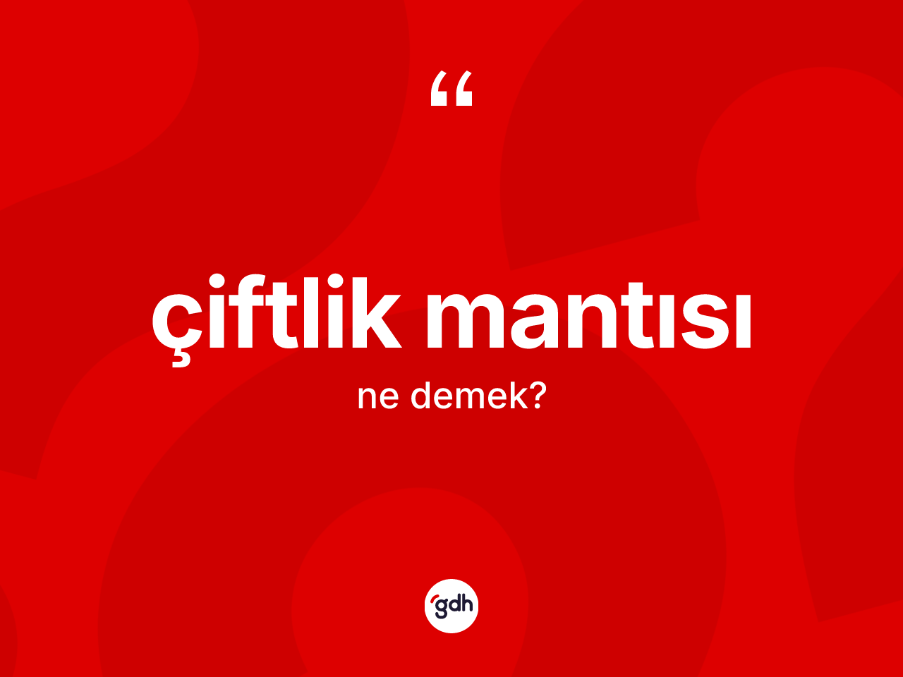 Çiftlik mantısı nedir? Çiftlik mantısının TDK'ya göre anlamı nedir?