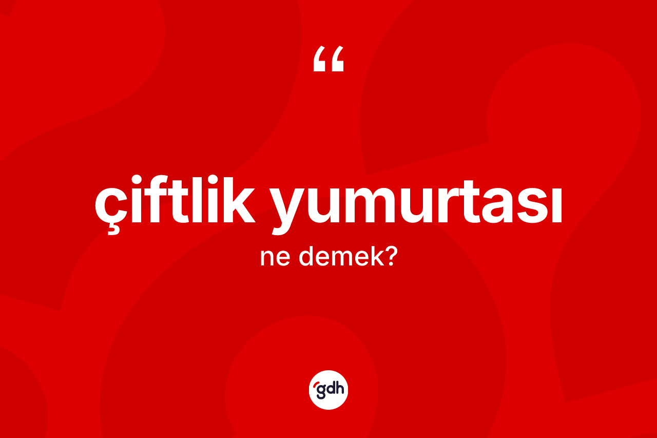 Çiftlik yumurtası kelimesinin anlamı nedir? Çiftlik yumurtası kelimesinin TDK anlamı nedir?