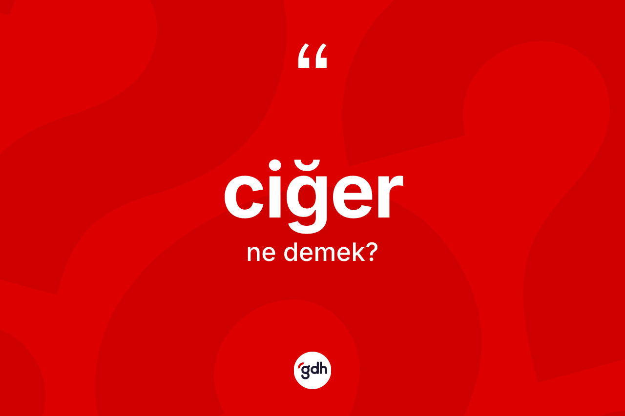 Ciğer kelimesinin tanımı nedir?
