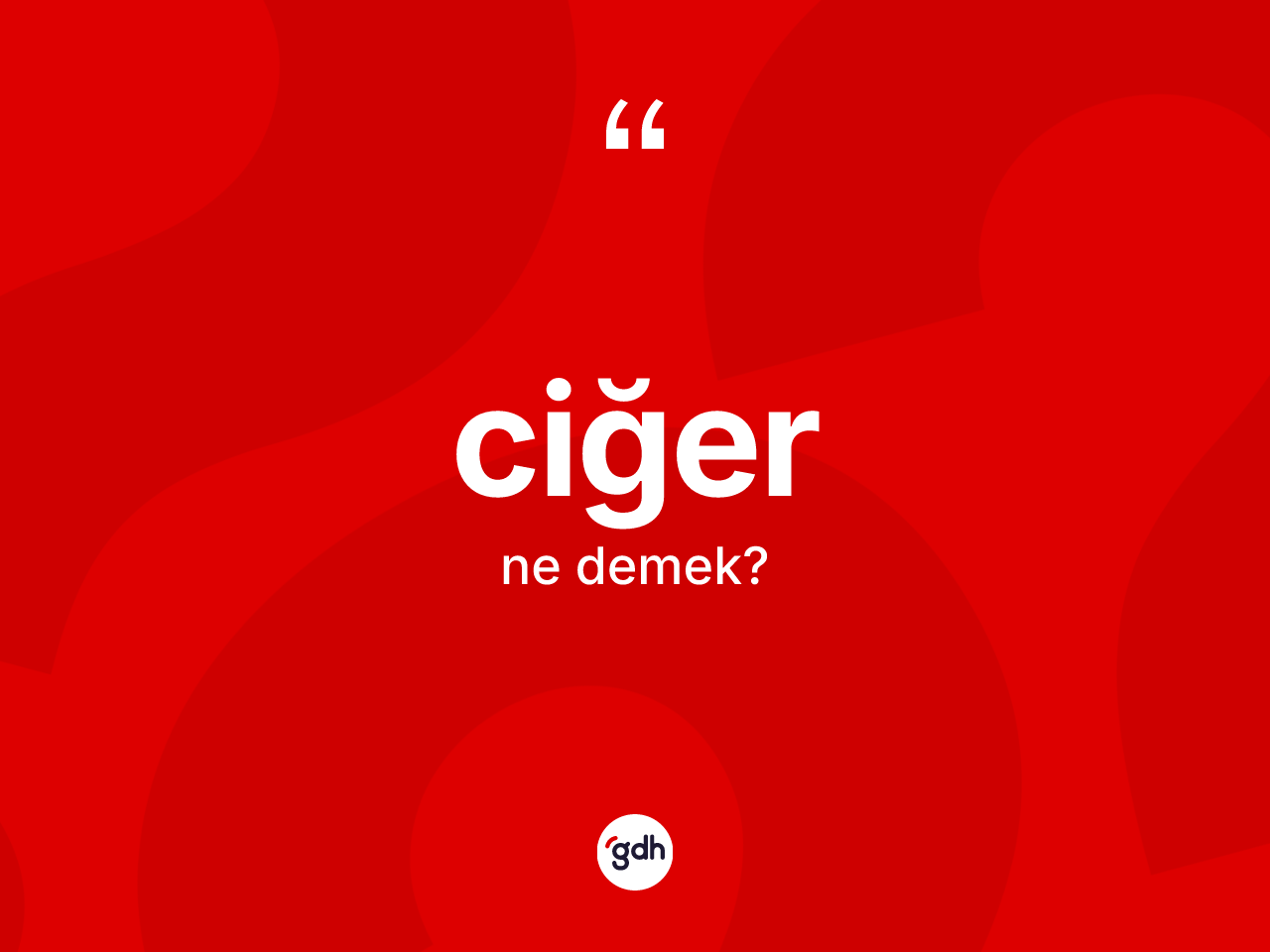 Ciğer kelimesinin tanımı nedir? Ciğerin halk arasındaki kullanımı nasıldır?