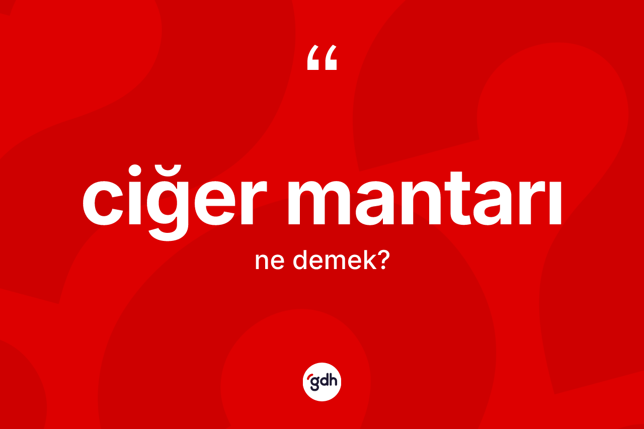 Ciğer mantarı kelimesinin sözlükteki tanımı nedir?