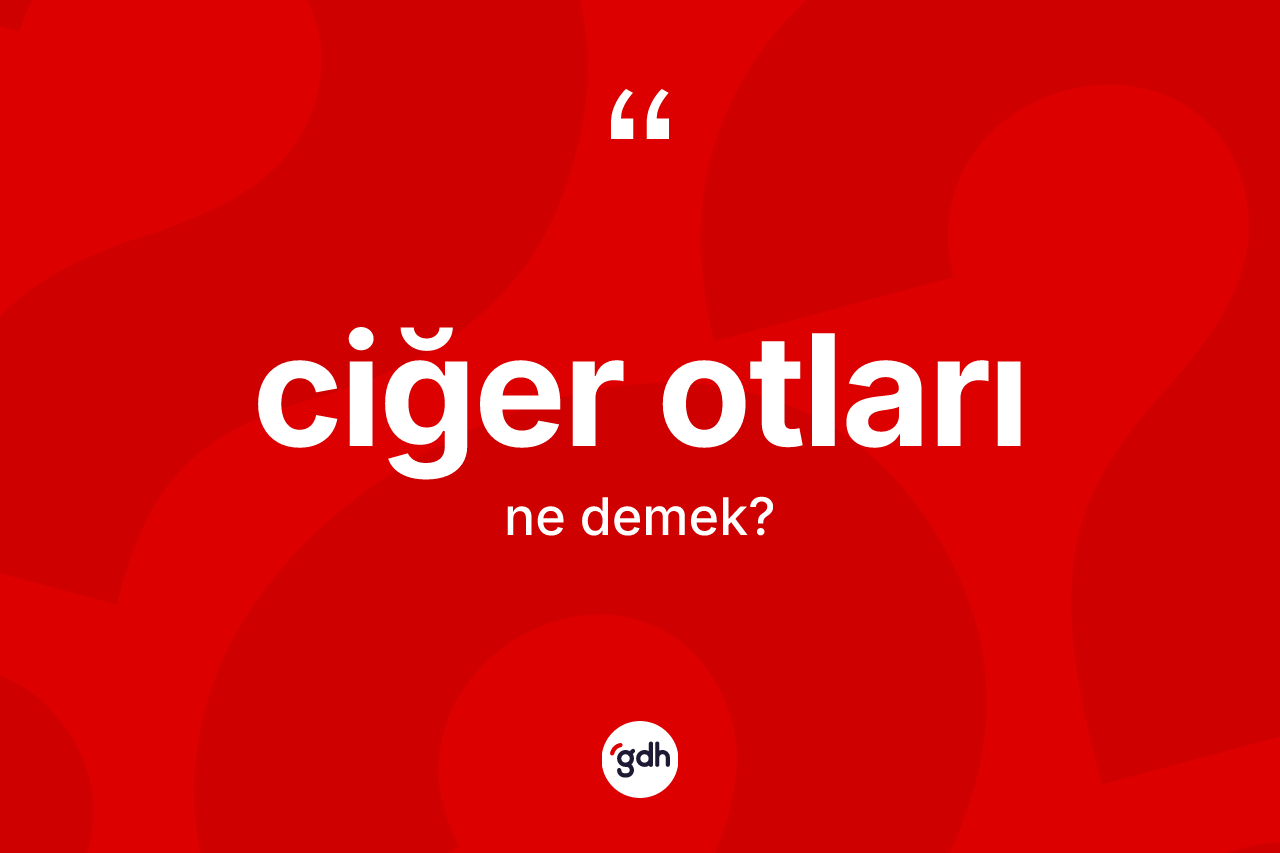 Ciğer otları nedir?