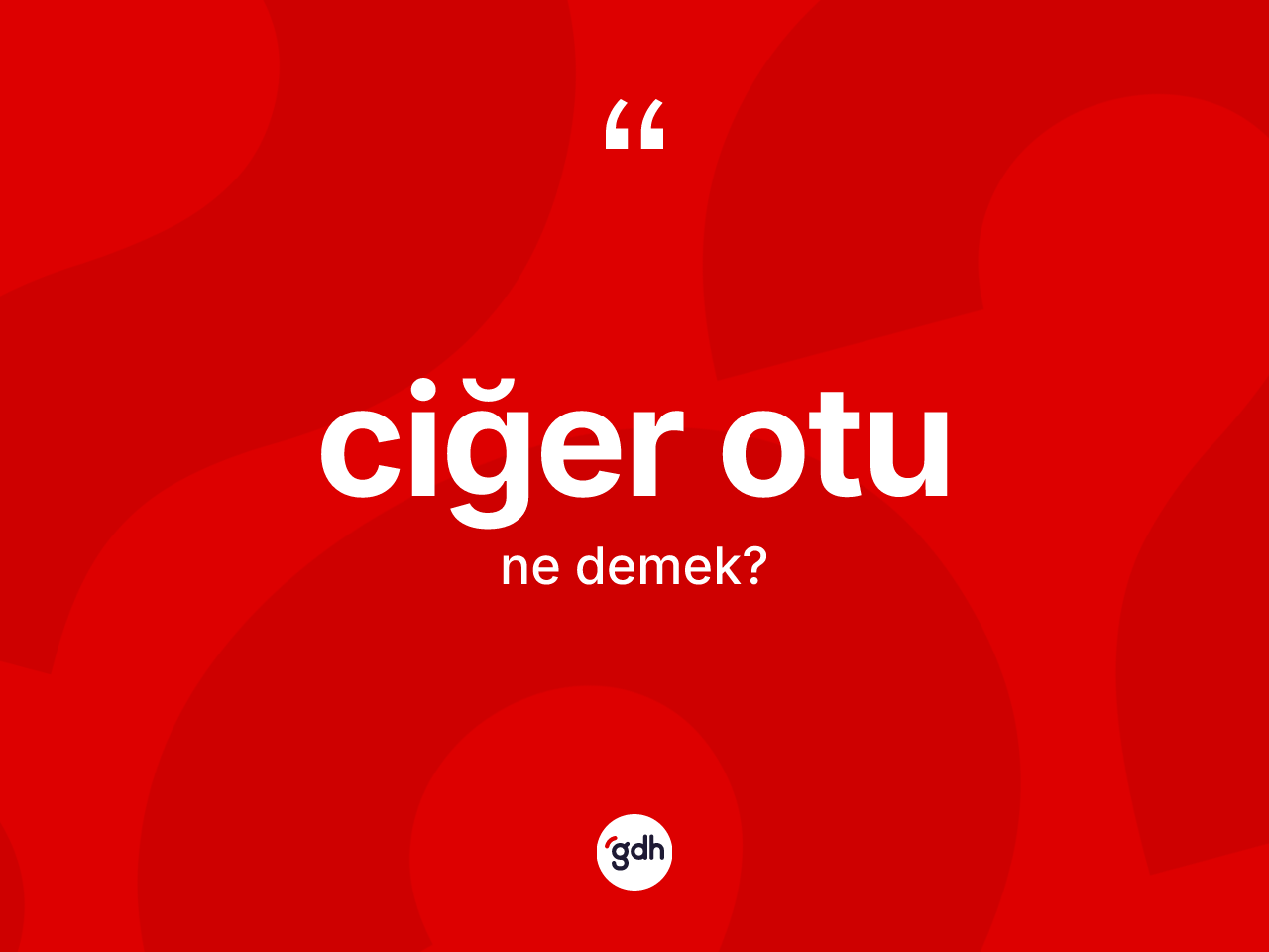 Ciğer otu kelimesinin anlamı nedir? Ciğer otu kelimesinin kaç farklı anlamı var?