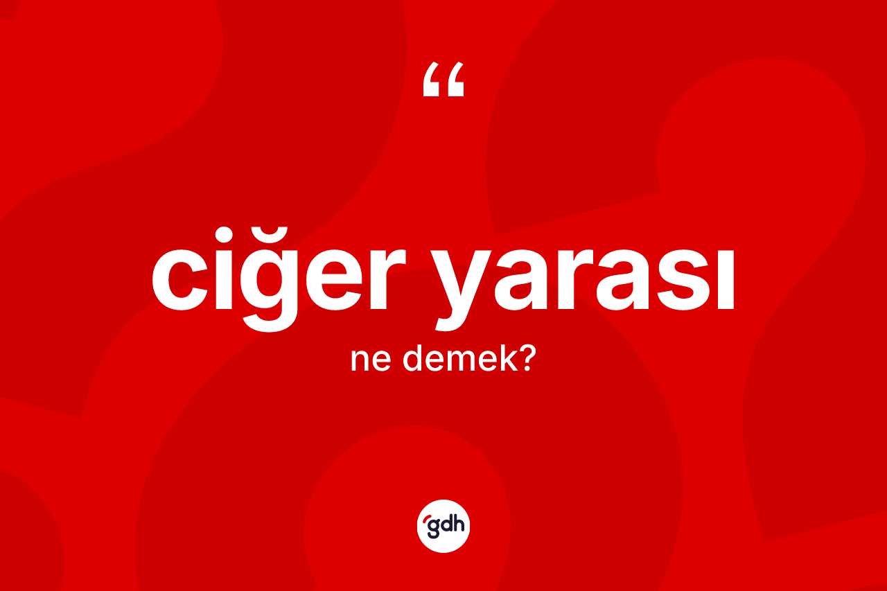 Ciğer yarası kelimesinin sözlükteki tanımı nedir?