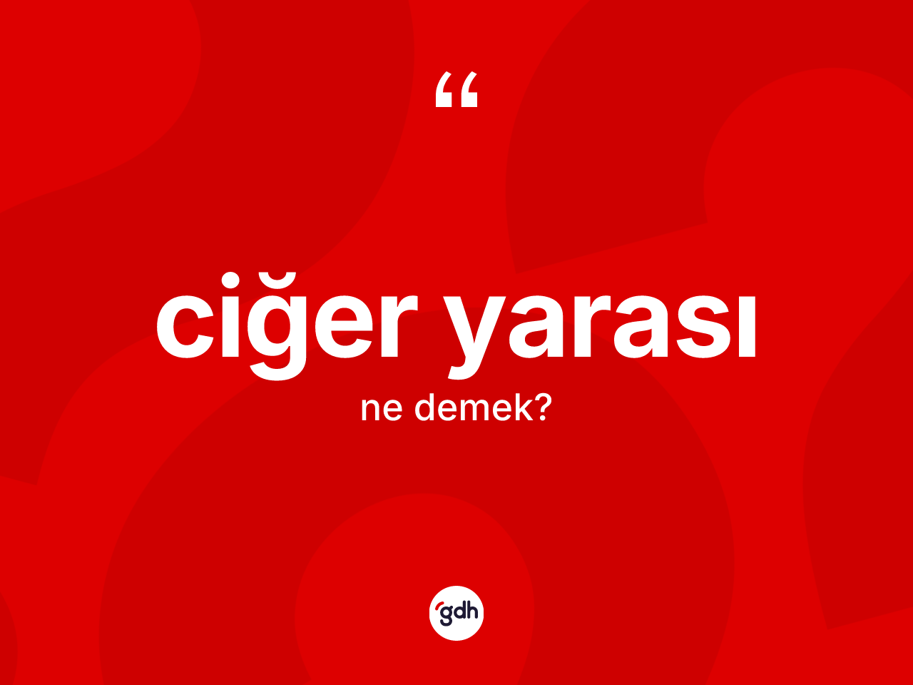 Ciğer yarası kelimesinin sözlükteki tanımı nedir? Ciğer yarasının TDK'ya göre anlamı nedir?