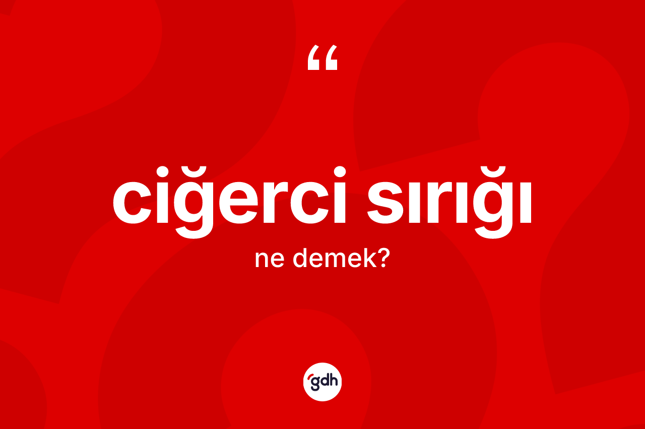 Ciğerci sırığı kelimesinin sözlükteki tanımı nedir? Ciğerci sırığının TDK'ya göre anlamı nedir?
