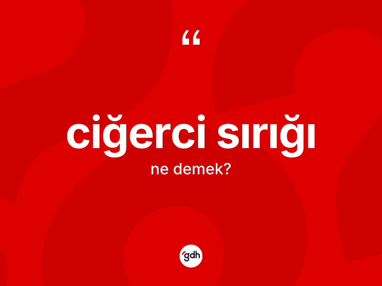 Ciğerci sırığı kelimesinin sözlükteki tanımı nedir? Ciğerci sırığının TDK'ya göre anlamı nedir?