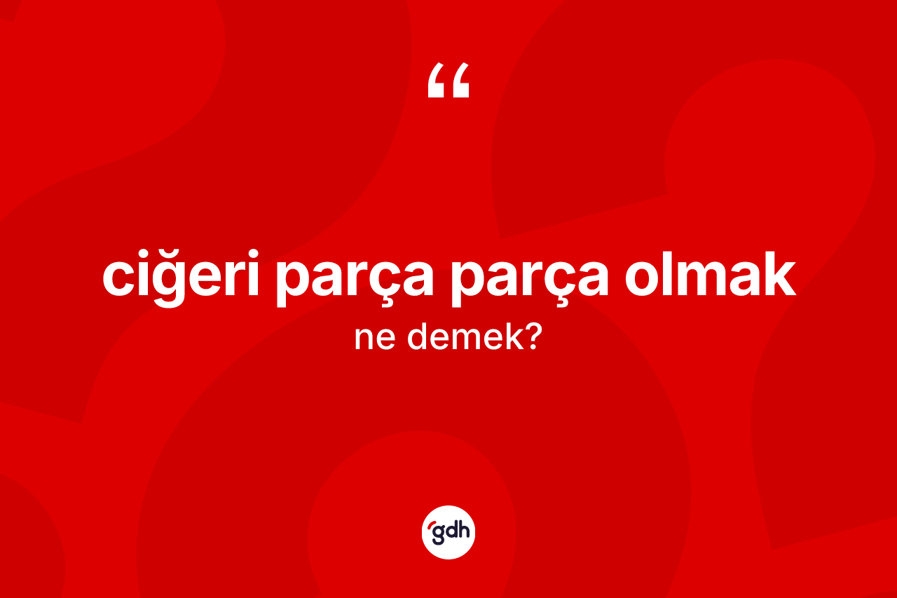 Ciğeri parça parça olmak ifadesinin sözlükteki anlamı nedir? Ciğeri parça parça olmak ifadesi nerede kullanılır?
