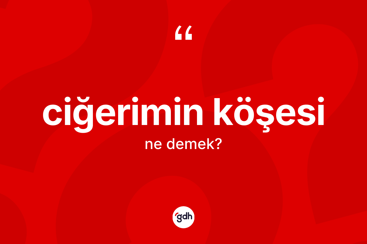 Ciğerimin köşesi deyiminin anlamı nedir?