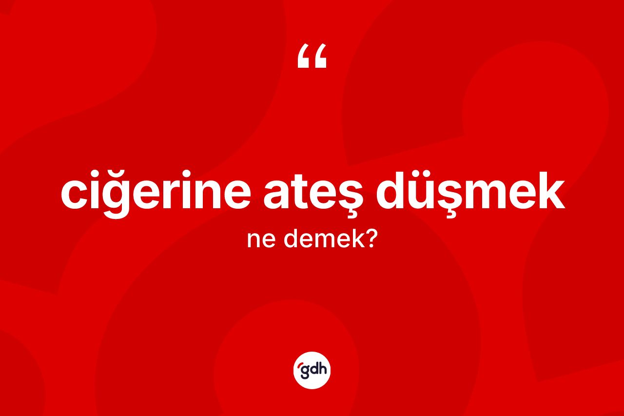 Ciğerine ateş düşmek ifadesi ne demek?