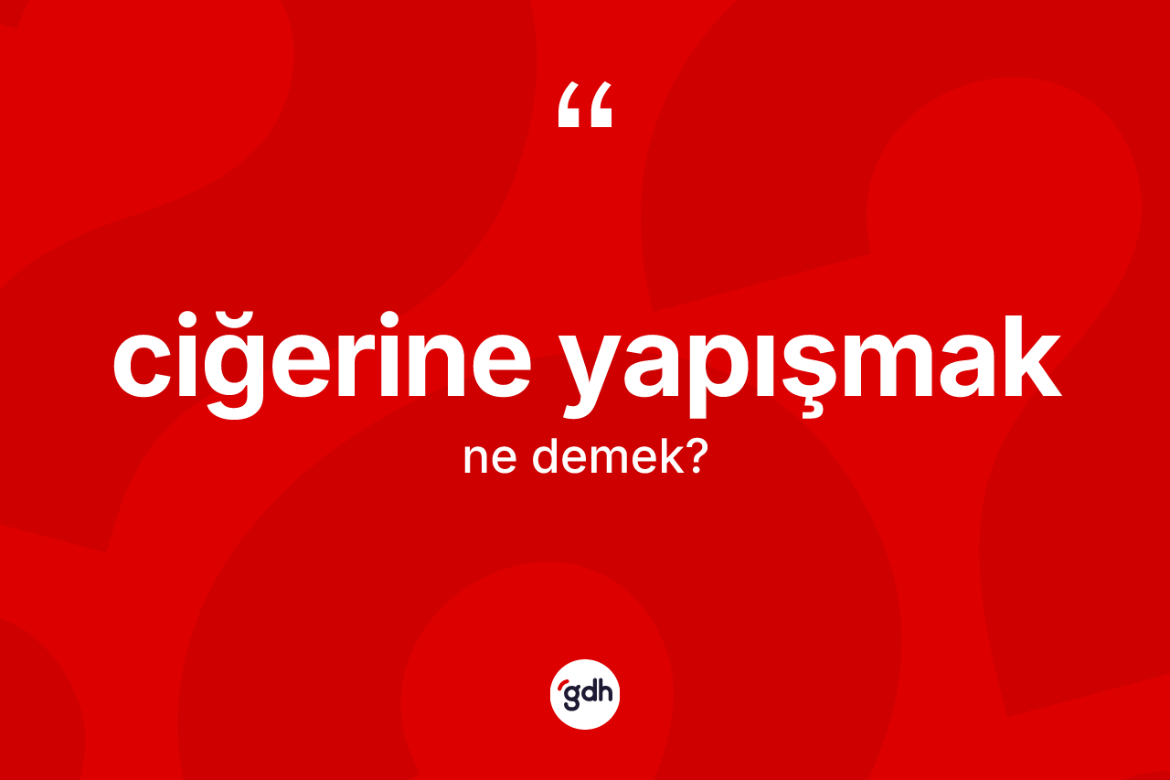 Ciğerine yapışmak ifadesi ne demek?