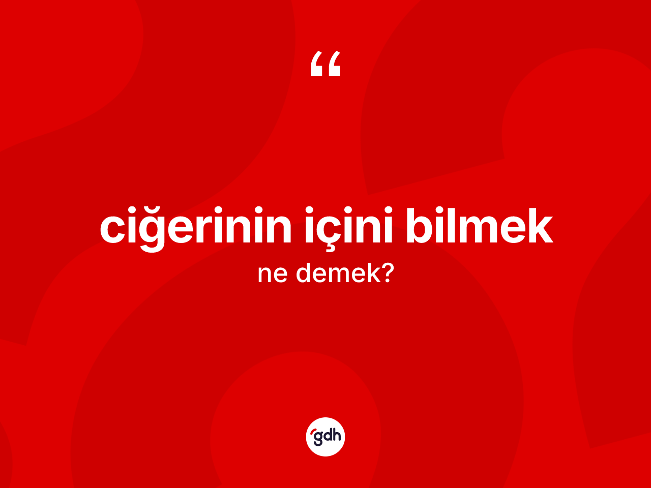 Ciğerinin içini bilmek sözü ne anlama gelir? Ciğerinin içini bilmek ifadesinin TDK'ya göre açıklaması nedir?