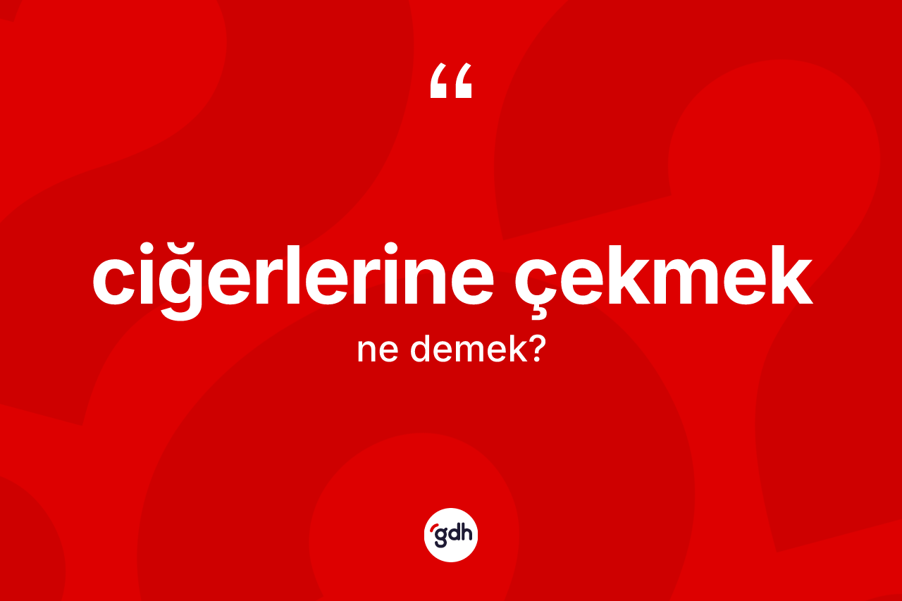 Ciğerlerine çekmek ifadesinin kısaca anlamı nedir?