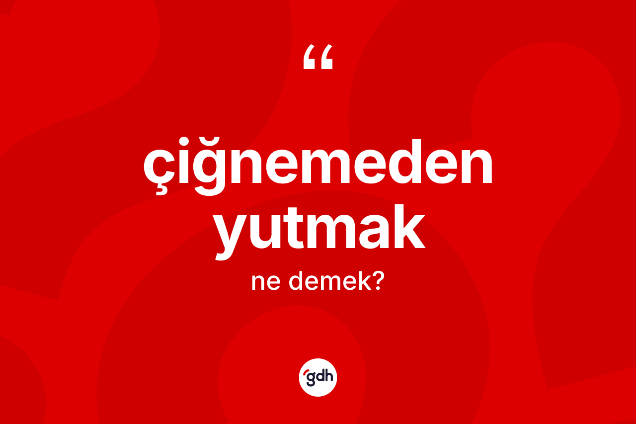 Çiğnemeden yutmak nedir? Çiğnemeden yutmak ifadesi hangi durumlarda kullanılır?