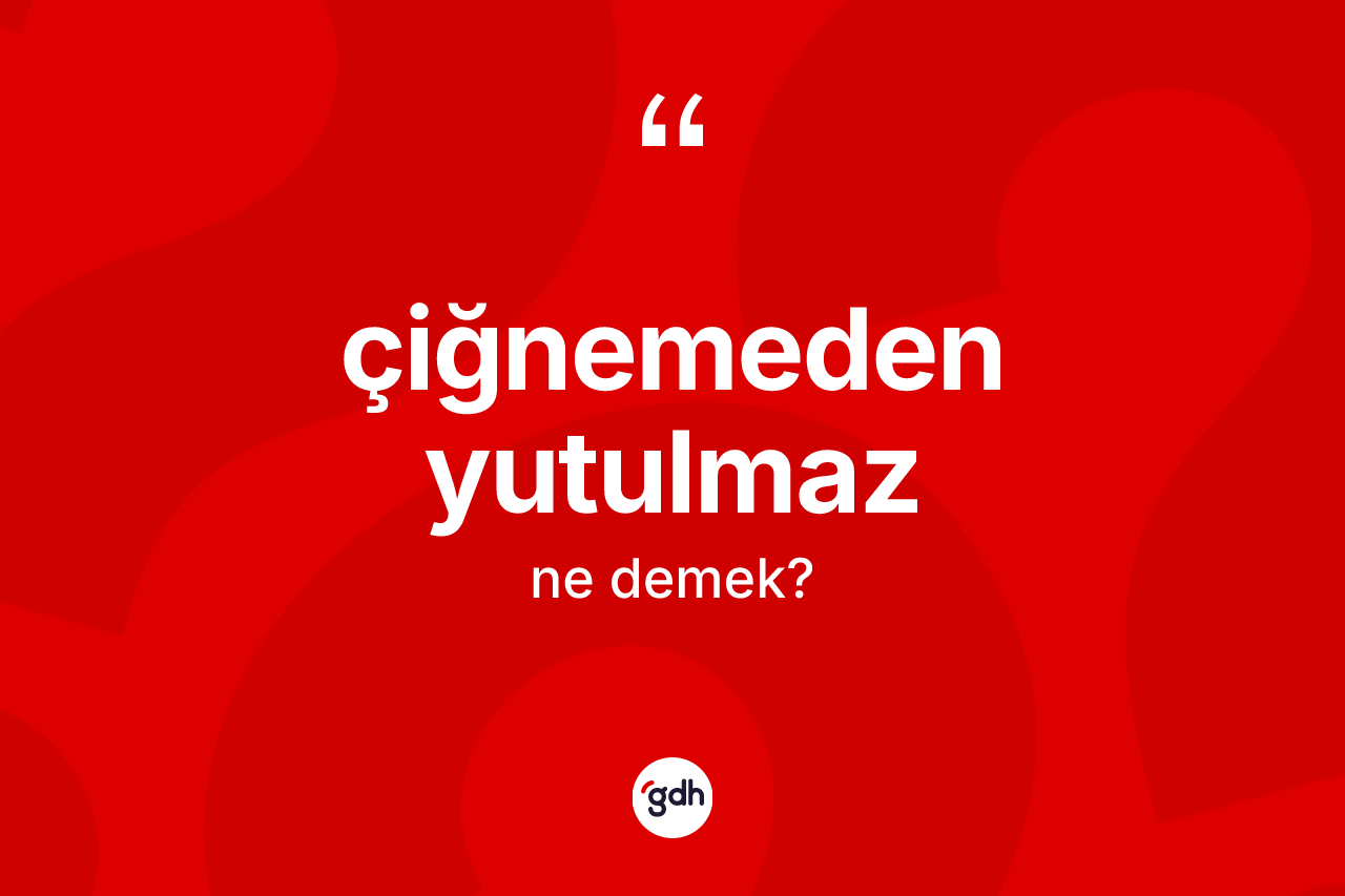 Çiğnemeden yutulmaz ifadesinin kısaca tanımı nedir? Çiğnemeden yutulmaz ifadesi nerede kullanılır?