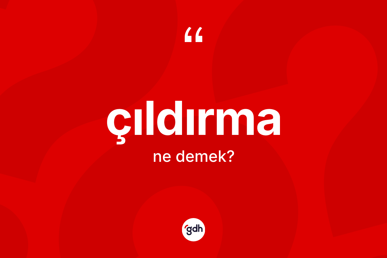 Çıldırma kelimesinin tanımı nedir? Çıldırmanın TDK'ya göre anlamı nedir?