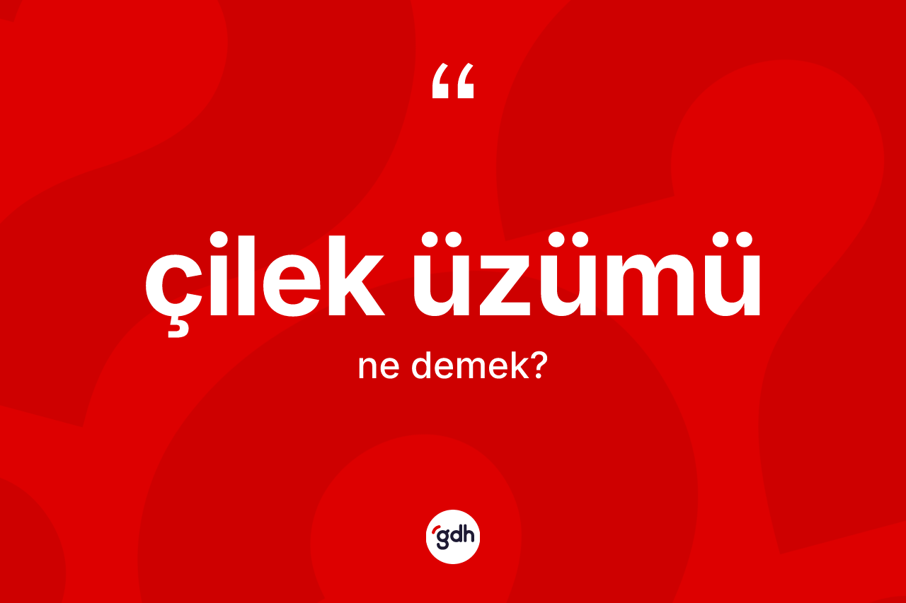 Çilek üzümü kelimesinin sözlükteki tanımı nedir? Çilek üzümünün halk arasındaki kullanımı nasıldır?