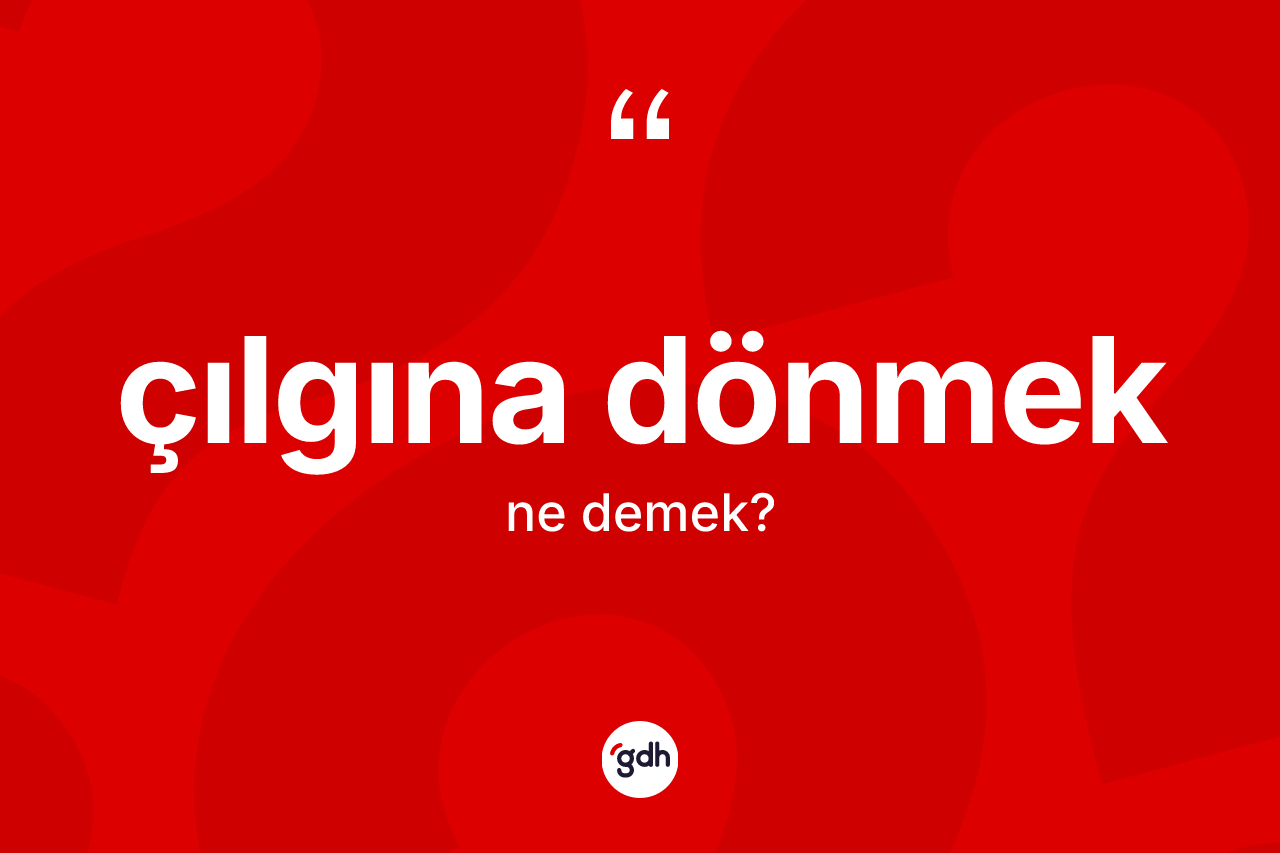 Çılgına dönmek ifadesi ne anlama gelir? Çılgına dönmek sözü nerede kullanılır?