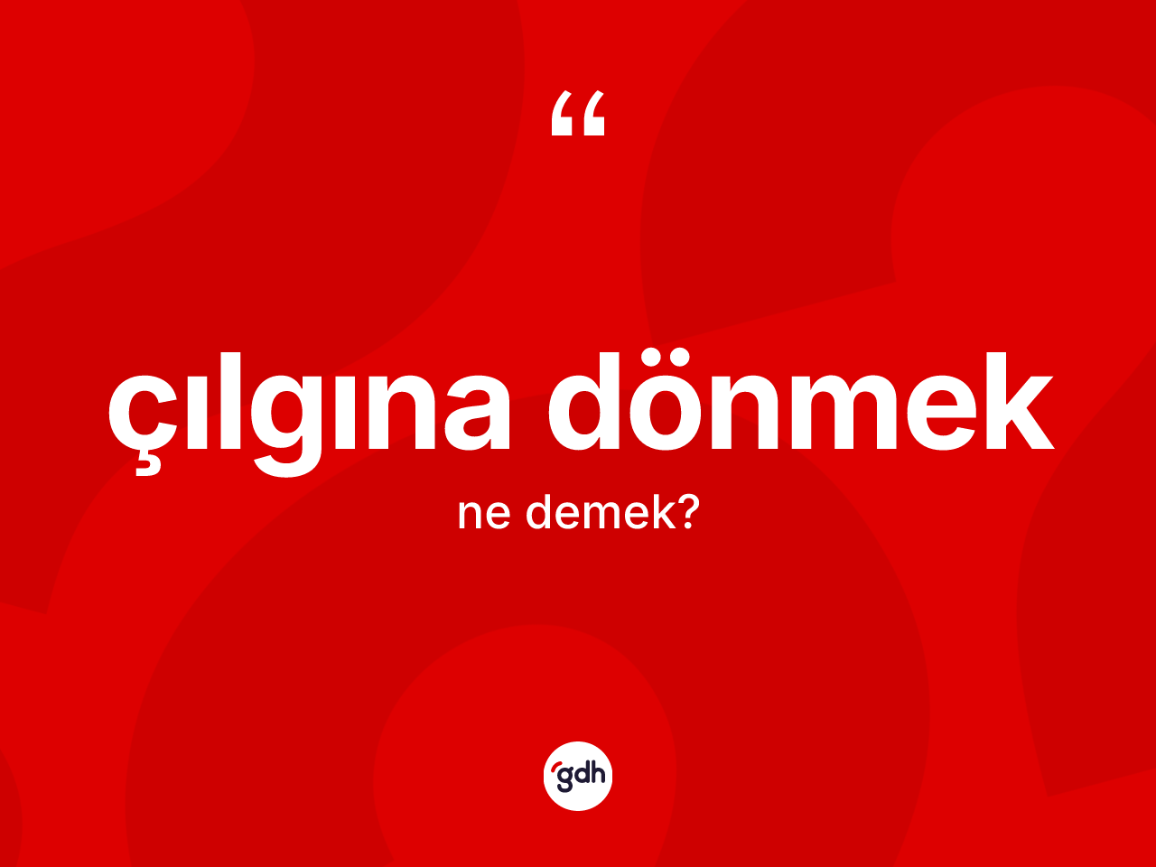 Çılgına dönmek ifadesi ne anlama gelir? Çılgına dönmek sözü nerede kullanılır?