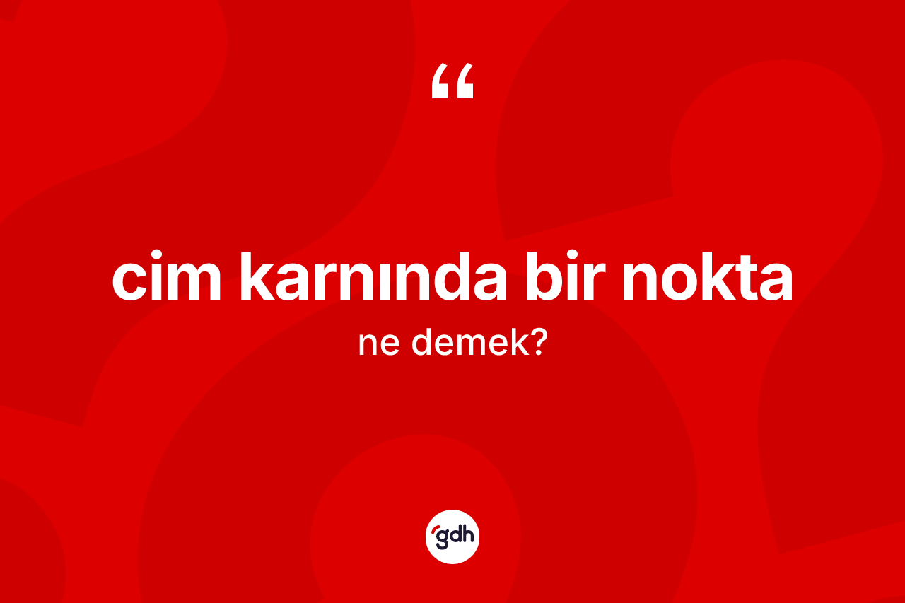Cim karnında bir nokta ne demek? Cim karnında bir nokta ifadesi nerede kullanılır?