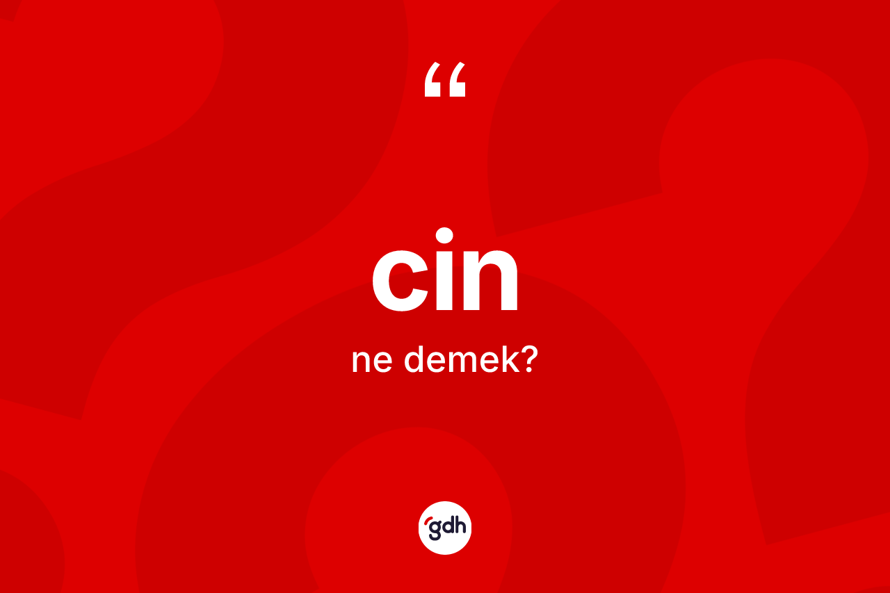 Cin kelimesi nedir? Cinin TDK'ya göre anlamı nedir?
