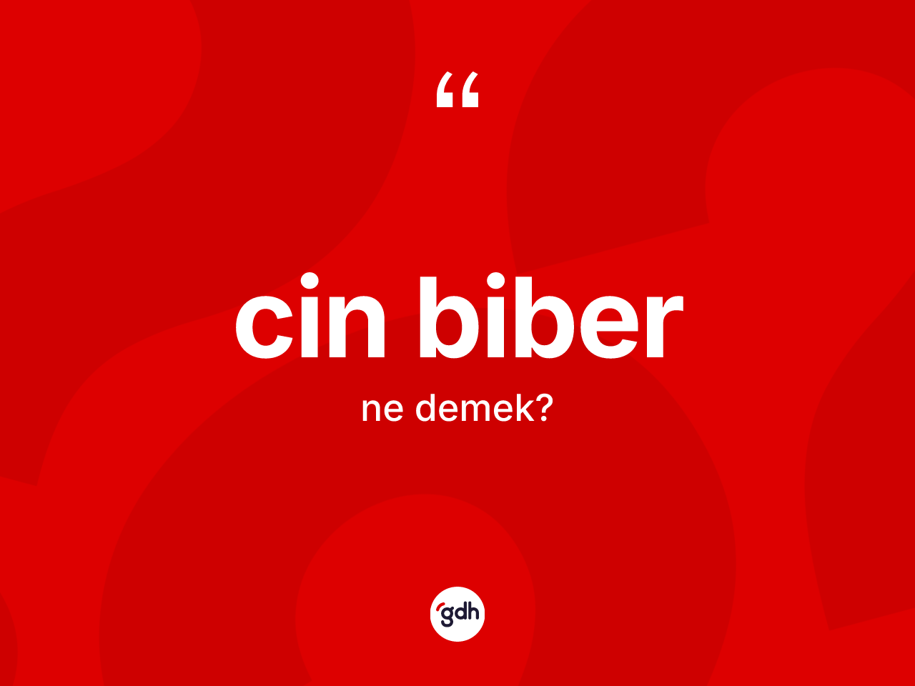 Cin biber kelimesi ne demek? Cin biberin TDK'ya göre anlamı nedir?