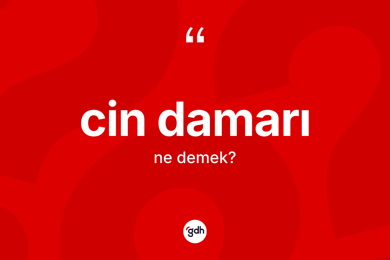 Cin damarı kelimesi ne anlama gelir? Cin damarının sözlükteki anlamı nedir?