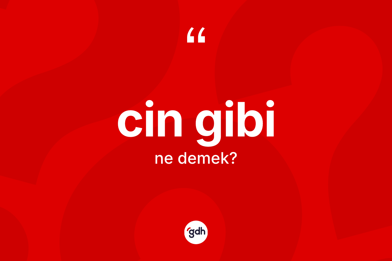 Cin gibi ne anlama gelir?