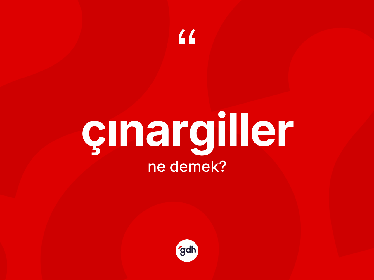 Çınargiller kelimesinin sözlükteki tanımı nedir? Çınargillerin halk arasındaki kullanımı nasıldır?
