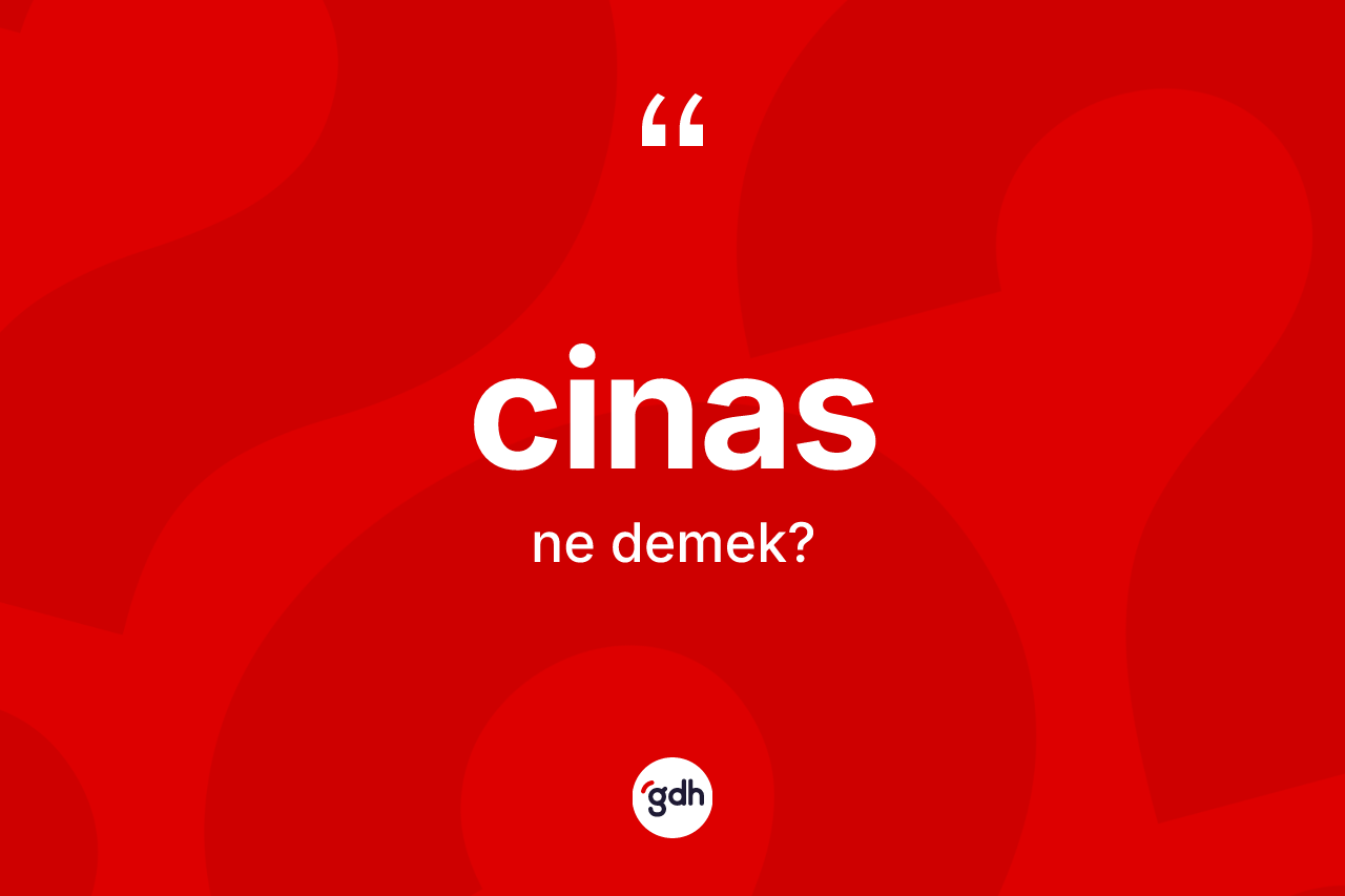 Cinas kelimesinin sözlükteki tanımı nedir? Cinasın kısaca tanımı nedir?