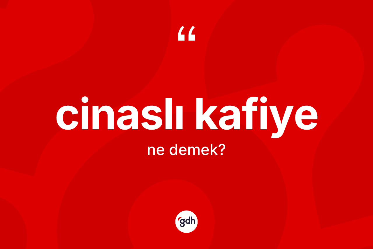 Cinaslı kafiye kelimesi ne demek?