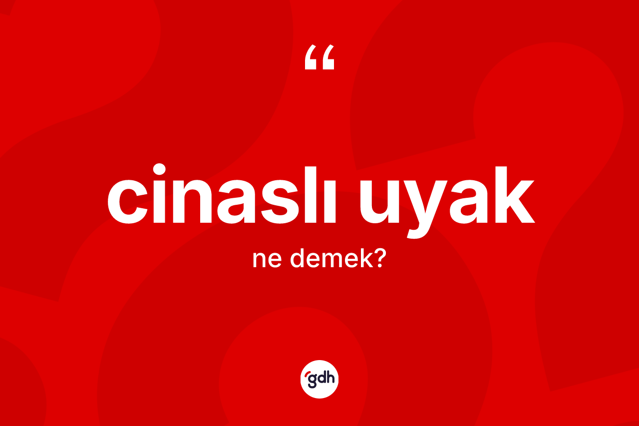 Cinaslı uyak ne demek?