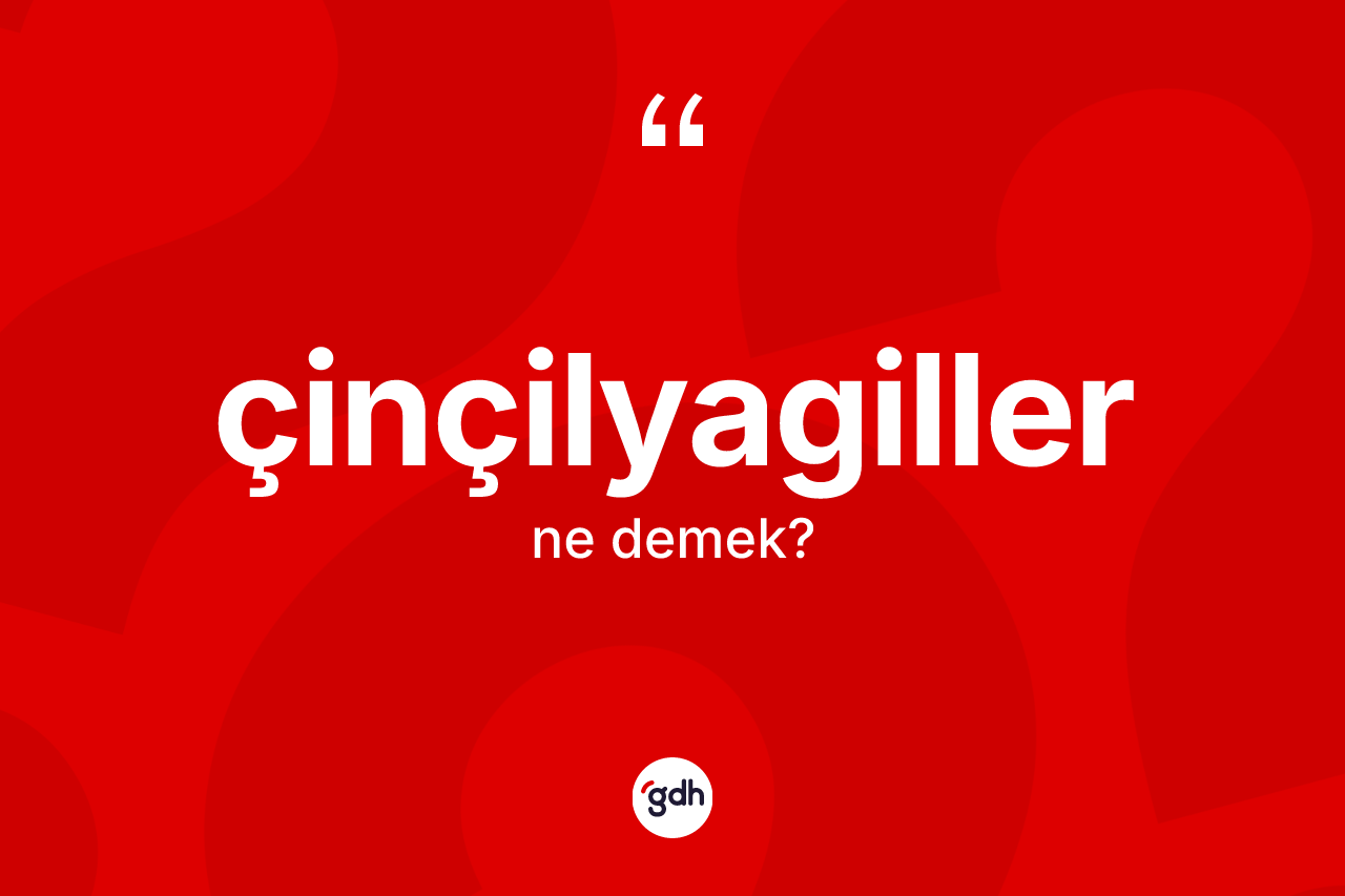 Çinçilyagiller kelimesi ne demek?