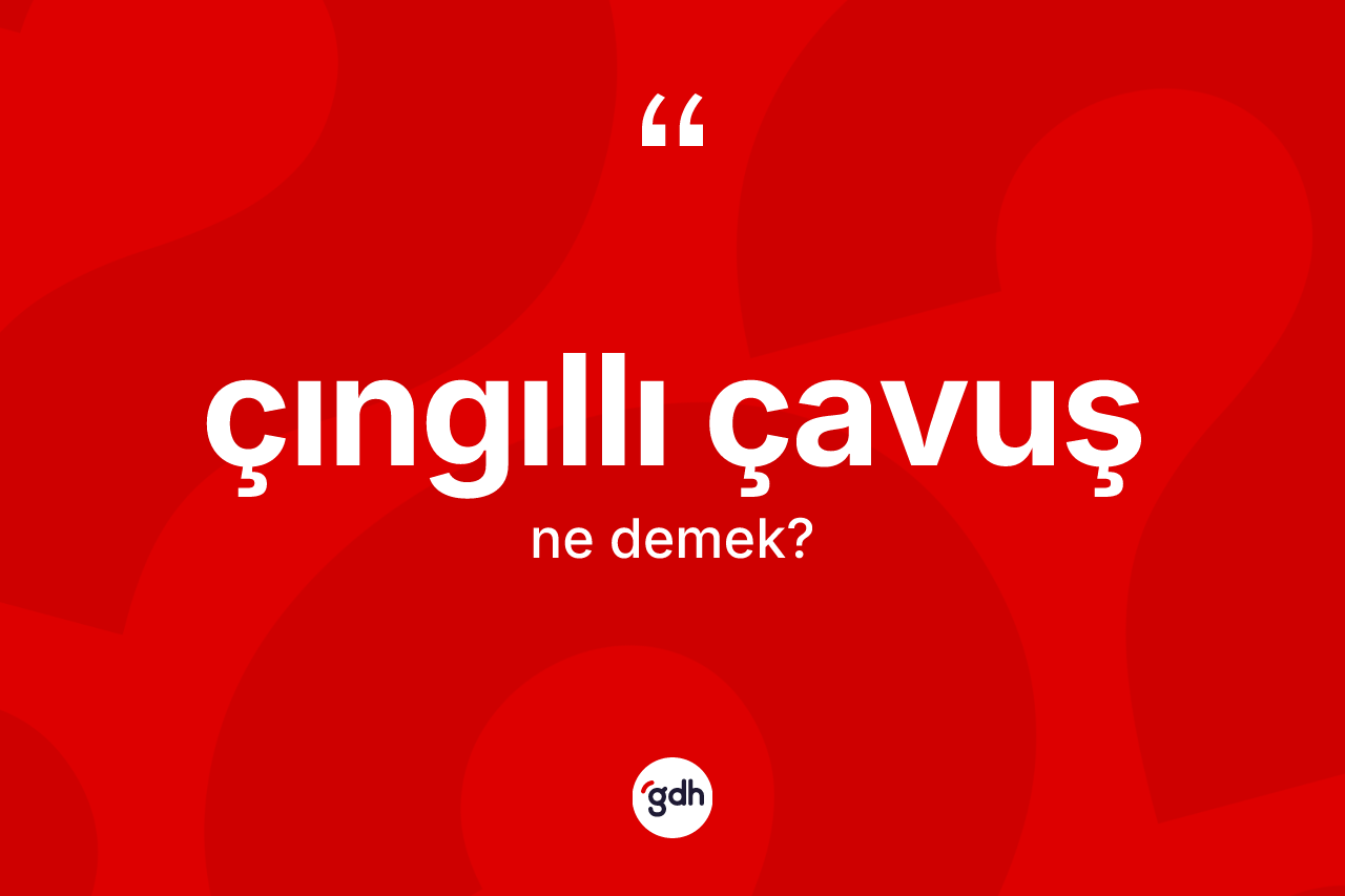 Çıngıllı çavuş kelimesi nedir? Çıngıllı çavuşun sözlükteki anlamı nedir?