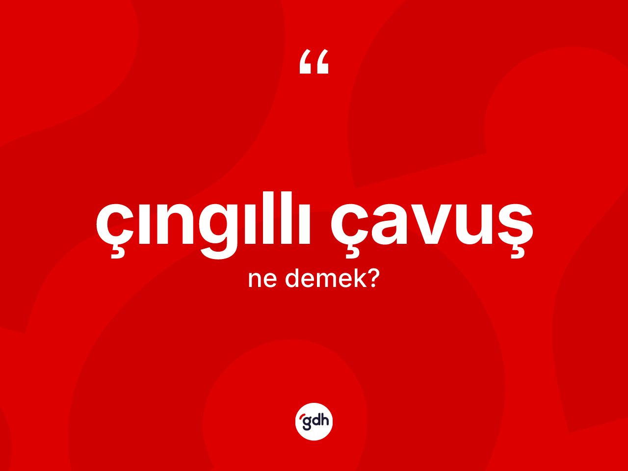 Çıngıllı çavuş kelimesi nedir? Çıngıllı çavuşun sözlükteki anlamı nedir?